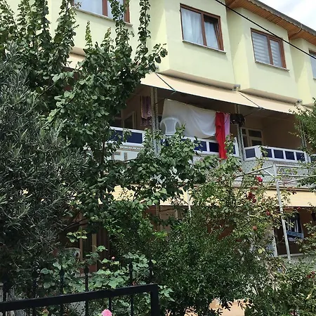 Baran Türkeli
